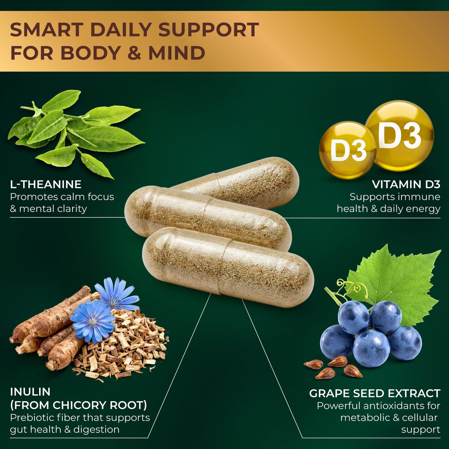 GLP-1 Wellness Capsules for Calm Cravings, Gut Balance & Steady Energy - Synbiotic Formula